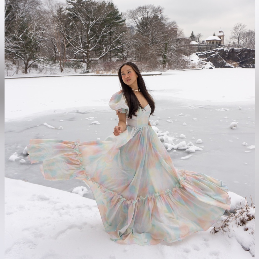 NWT XXS Selkie Pastel Chalk Ritz Gown